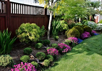 Bush Installation in Ventura County, CA
