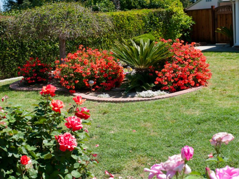 Bush Landscaping in Honolulu, HI