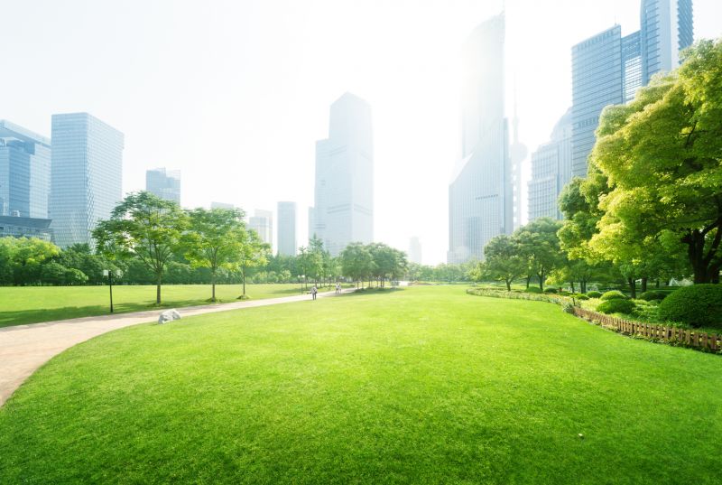 Business Landscape Design in Ventura County, CA