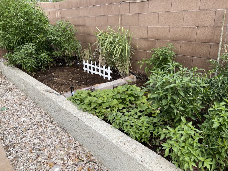 Concrete Edging Replacement in Citrus County, FL