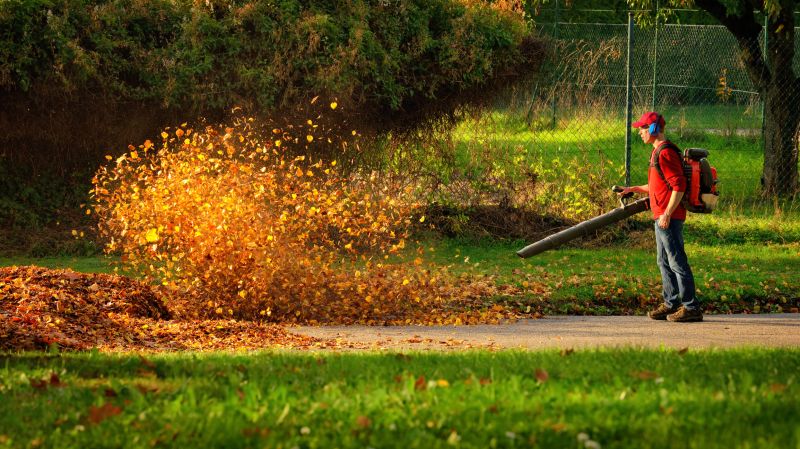 Cost of Mulch Blowing — Cost of Mulch Blowing