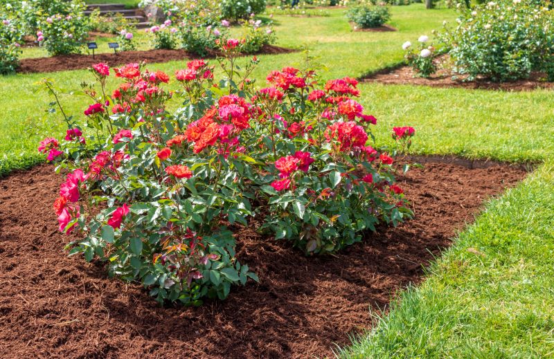 Flower Bed Mulching in Honolulu, HI