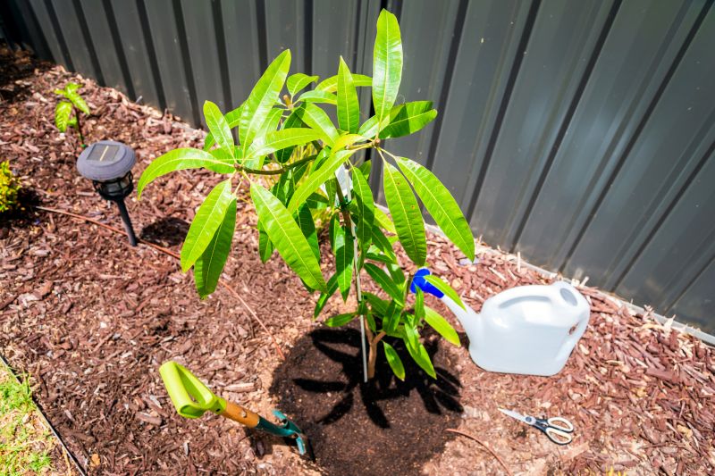 Fruit Tree Planting in Ventura County, CA
