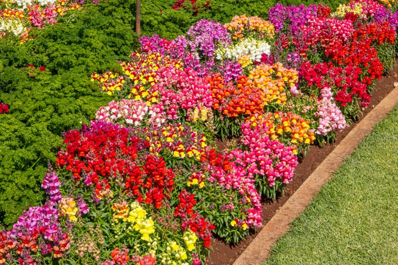 Garden Border Replacement in Citrus County, FL
