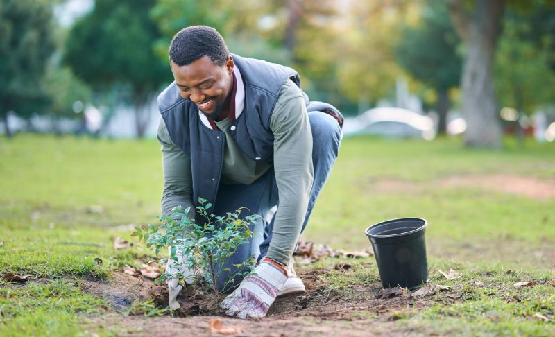 Greenery Planting in Ventura County, CA