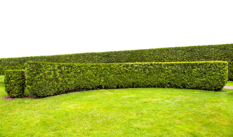 Hedge Installation in Honolulu, HI