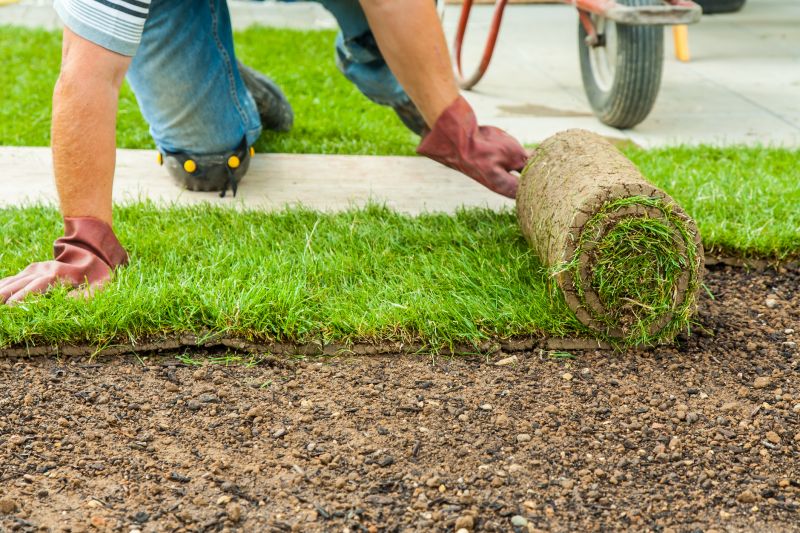 Landscaping Installation in Honolulu, HI