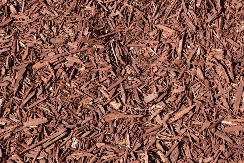 Mulch Layer Close-Up