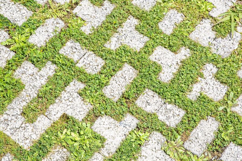 Paver Flooring Installation in Denver County, CO