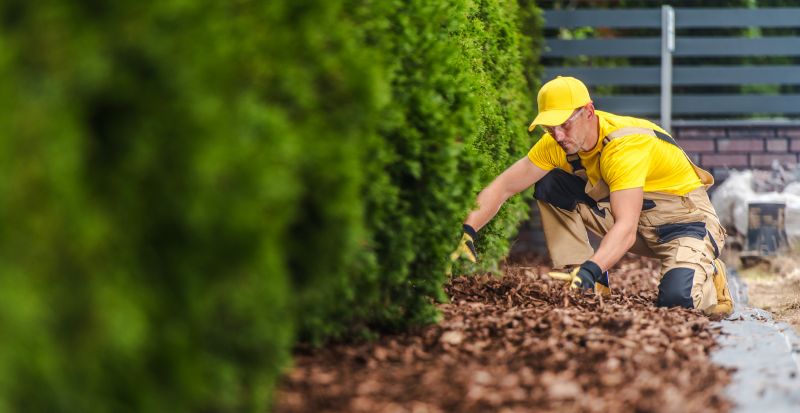Pine Bark Mulch Installation in Honolulu, HI
