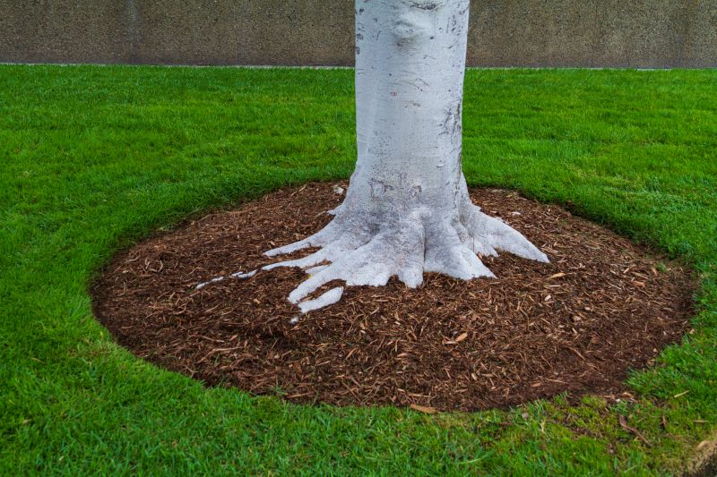 Pine Bark Mulch Installation in Honolulu, HI
