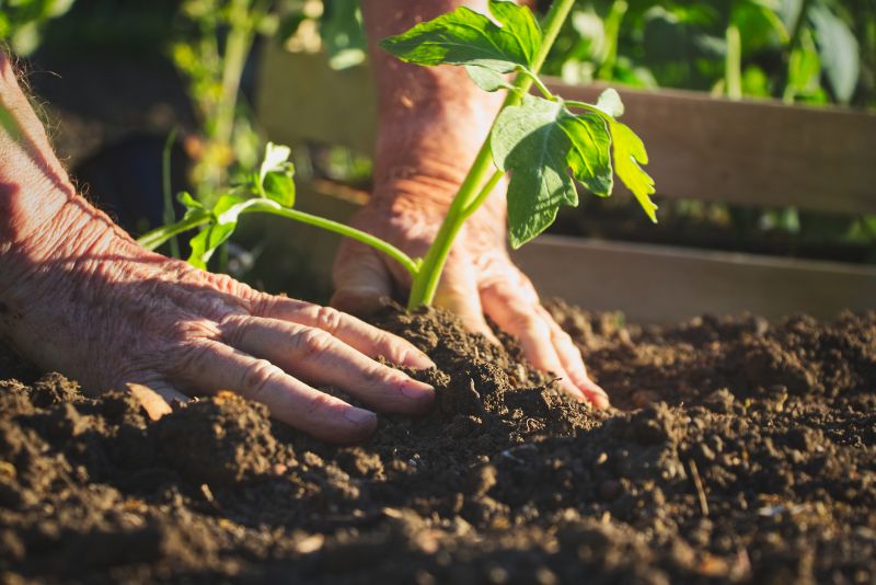 Planting Service in Honolulu, HI