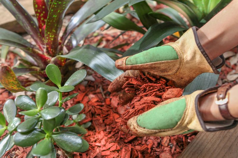 Red Mulch Installation in Ventura County, CA