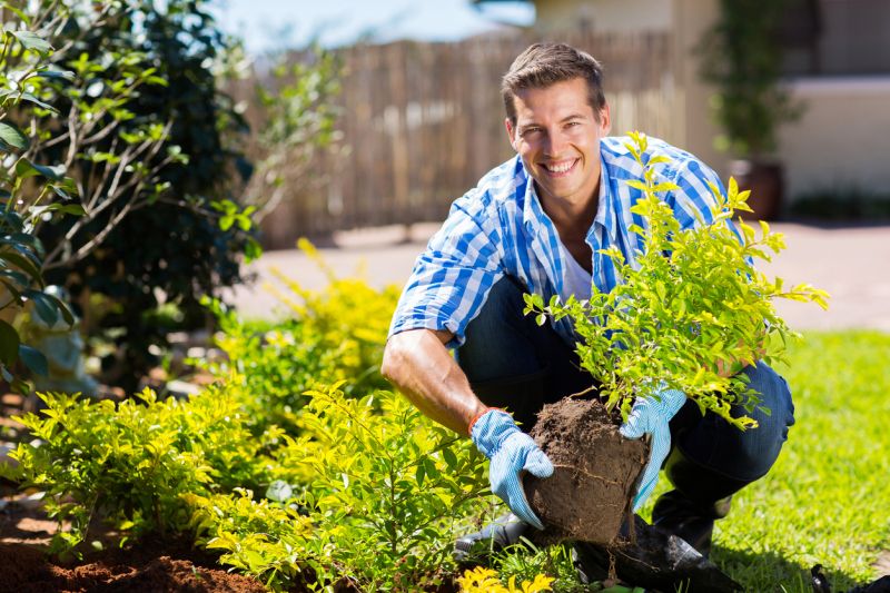 Shrub Replacement in Honolulu, HI
