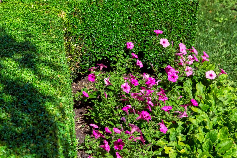 Softscaping Service in Ventura County, CA