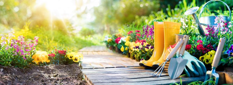 Spring Garden Maintenance in Honolulu, HI