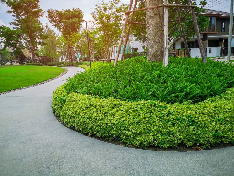 Tree Curbing Installation in Honolulu, HI