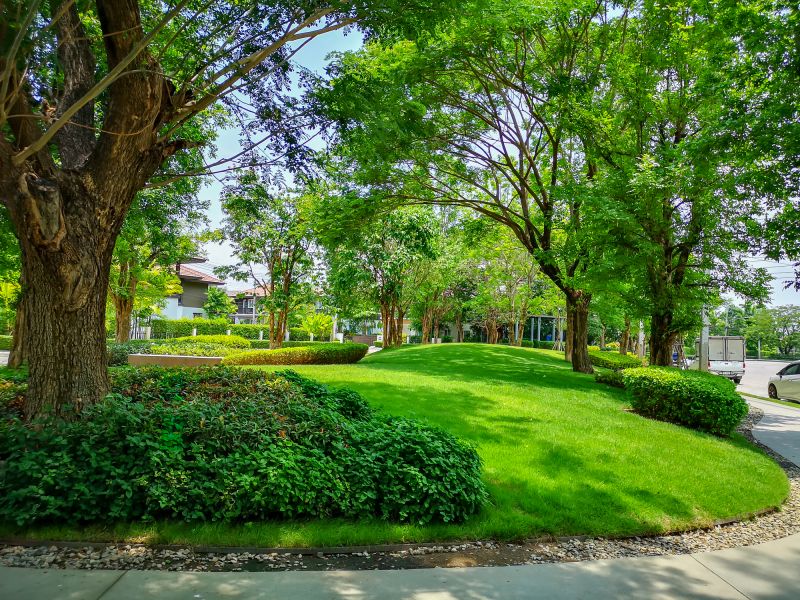 Tree Curbing Installation in Citrus County, FL