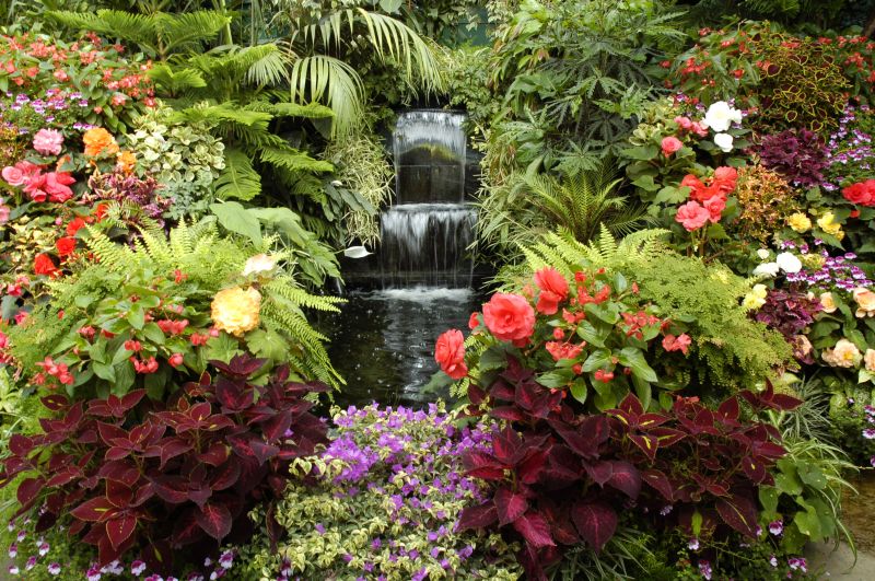 Water Garden Installation in Honolulu, HI