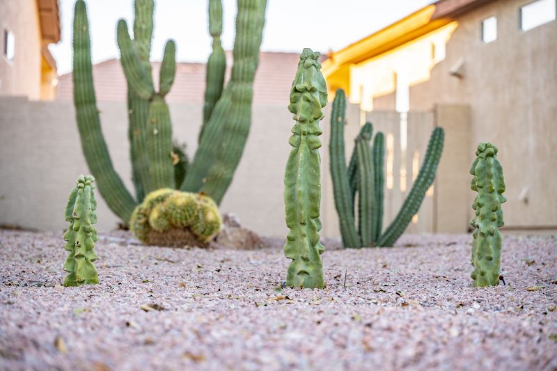 Xeriscape Landscaping in Honolulu, HI